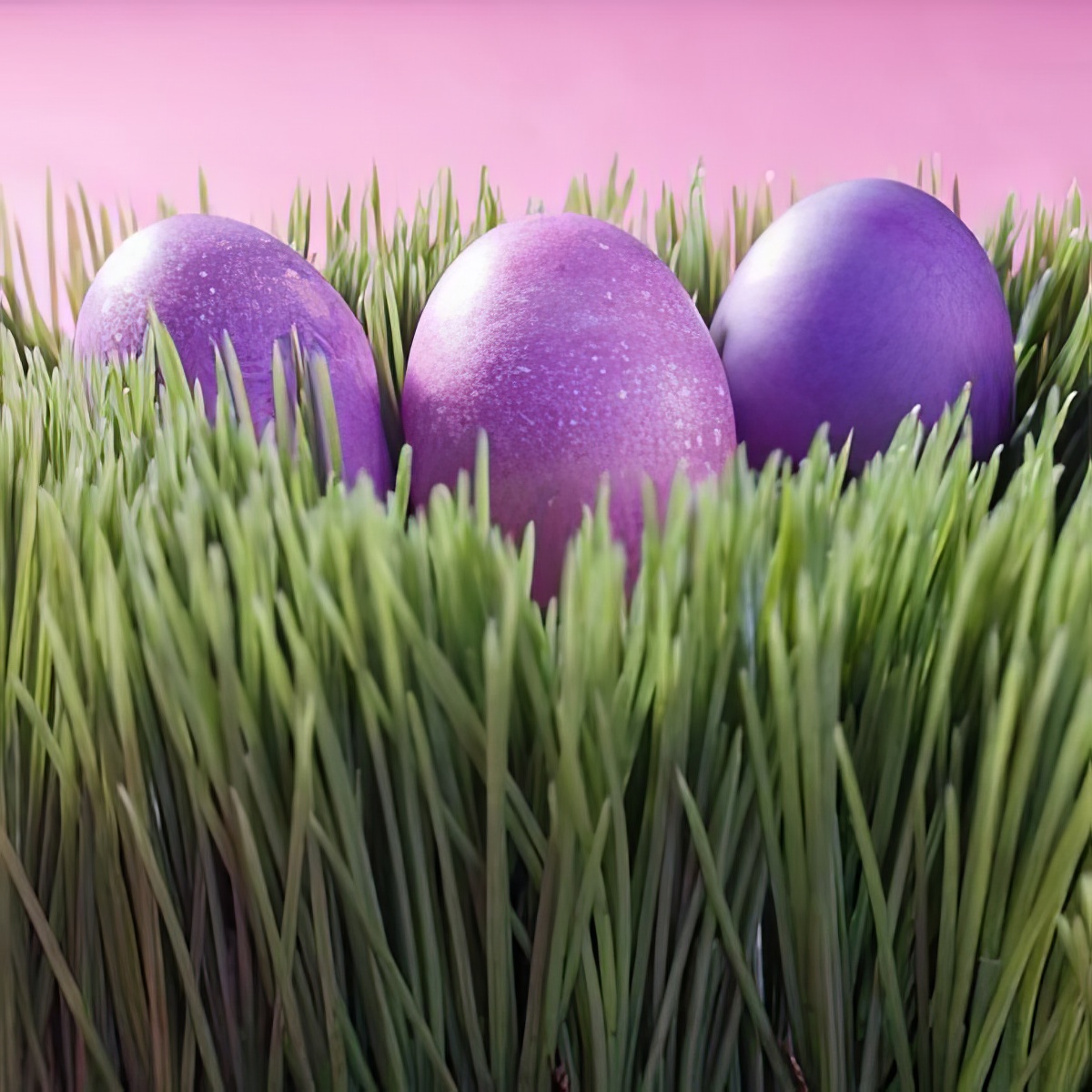 Get awesome and fun ideas on how to hide those Easter eggs that even adults can't find it right away on  your  Easter egg hunt! 