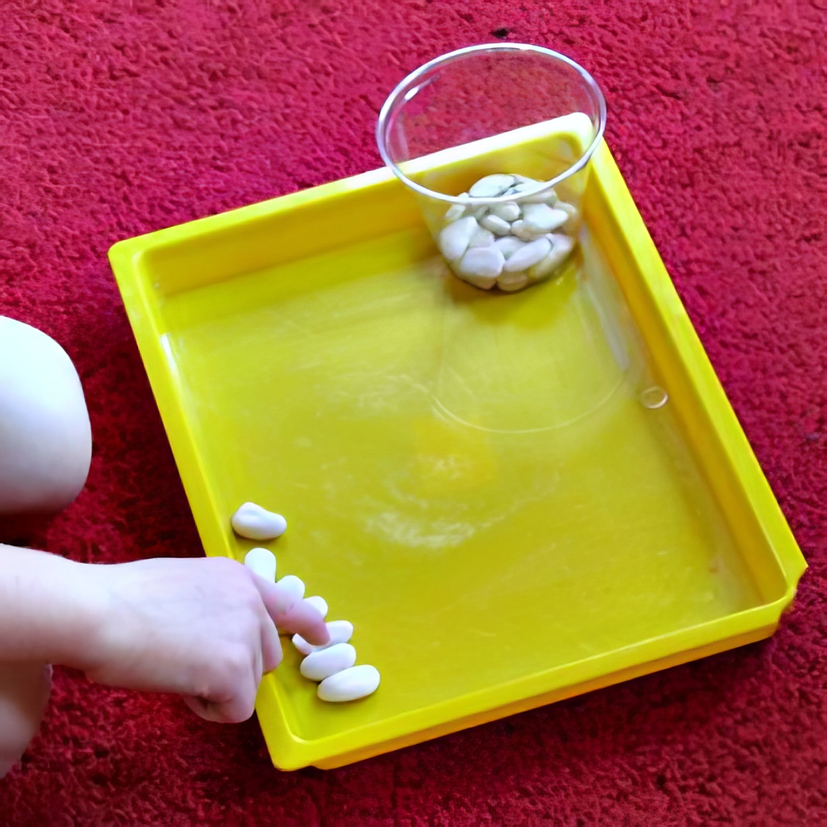 Seeds and pebbles for counting preschoolers