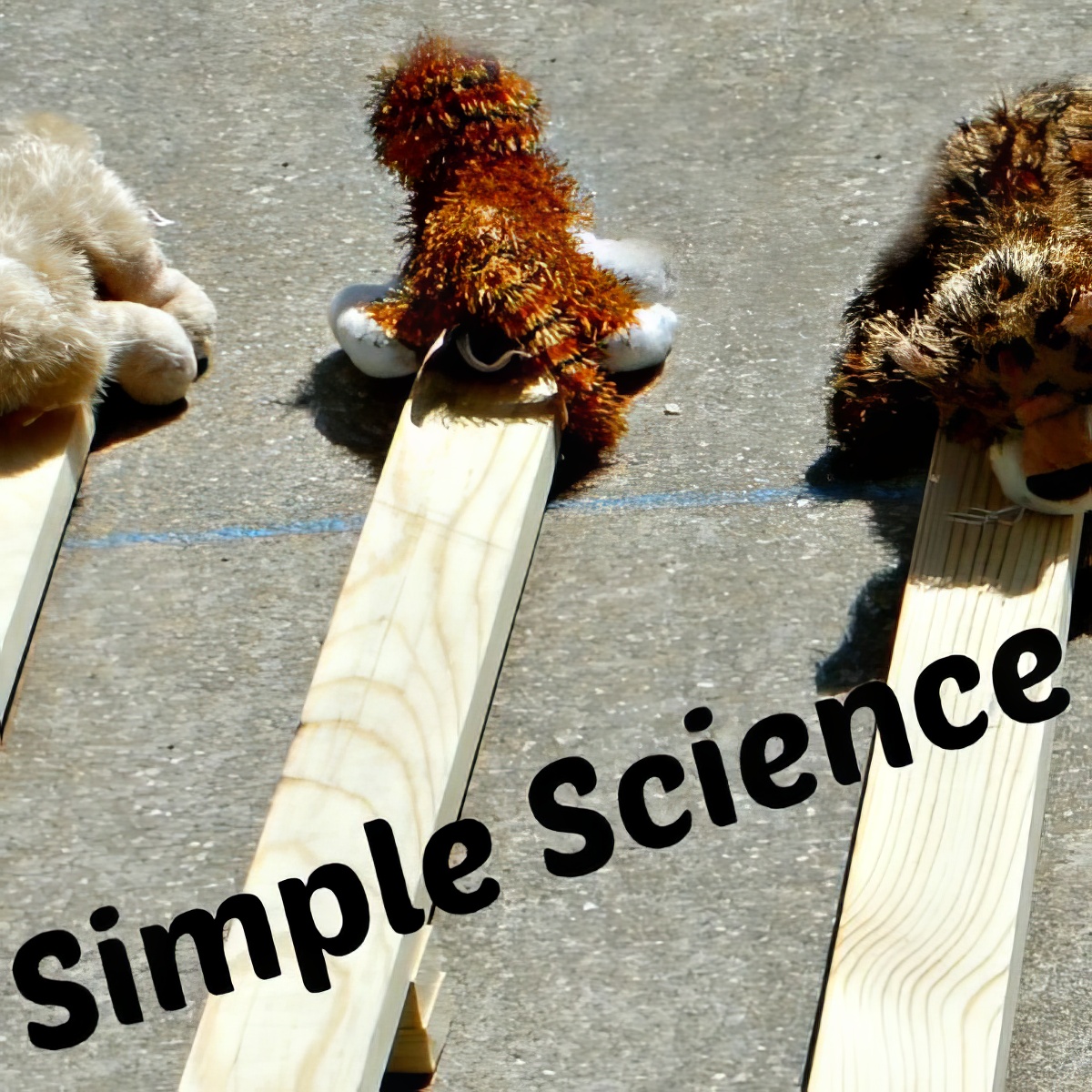 Simple Science, jump-on catapult, catapult for active kids, outdoor catapult 