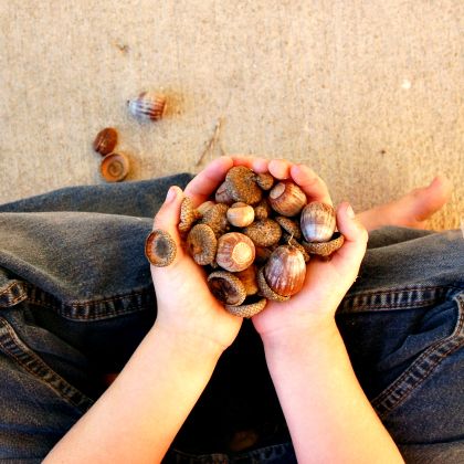 child holding acorns as a way to connect with nature - outdoor games to burn off steam