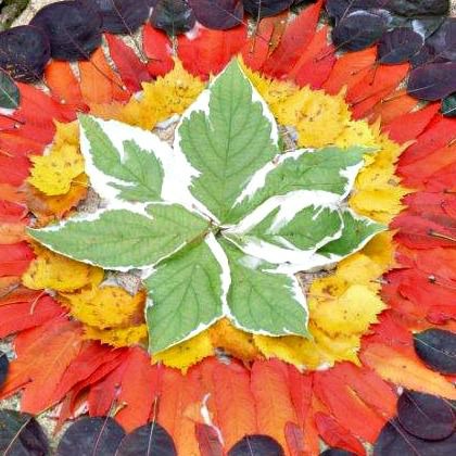 ANDY GOLDSWORTHY Inspired Art-15 Outdoor Art Projects for kids children Blog