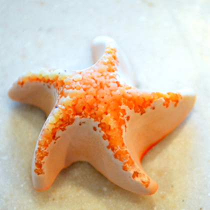 plaster sea star, Under the Sea Crafts for Kids