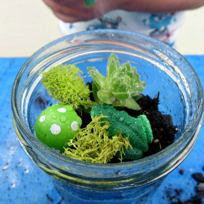  Build your Very Own Frog Terrarium with the kids!