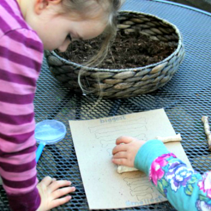 Search and Dig for Dinosaur Bones with  the kids!