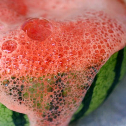 vinegar free erupting watermelon 25 spectacular explosion experiments for kids