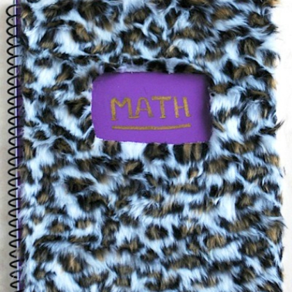 Notebooks Covered With Fur for the kids!