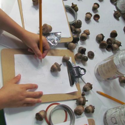 Learn to count using Acorns with your kids!
