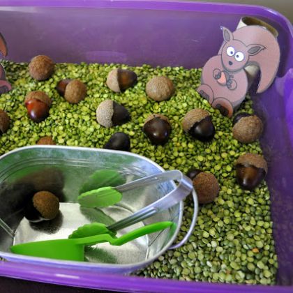 Acorns Everywhere by I Heart Craft Things- acorns and squirrel in the fall sensory bin