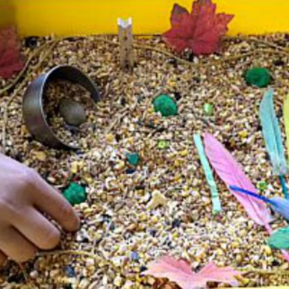 Fall Sensory Bin Bird Seed by The Chaos and The Clutter