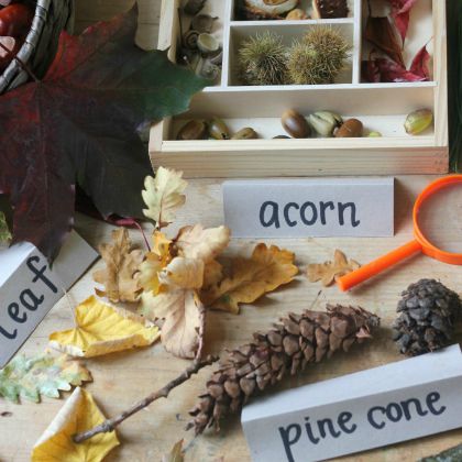 Autumn Nature Table Fall Stem Idea with the kids!