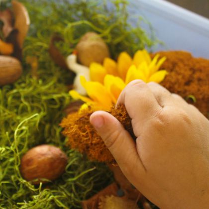 Fall Farm Sensory Bin by Parenting Chaos- little hand, moss, sunflower and plastic bin