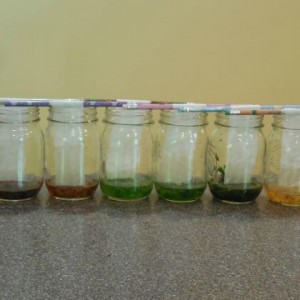 25 Fall STEM Ideas for Kids