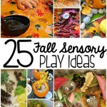 fall-sensory-play-pin
