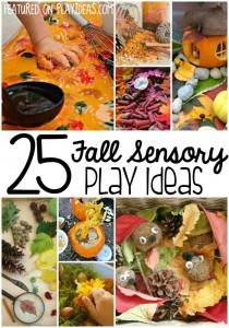 25 Fall Sensory Bin Play Ideas