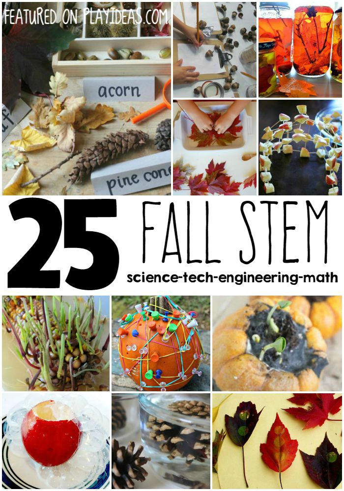 Fall-stem ideas to choose and do with the kids!