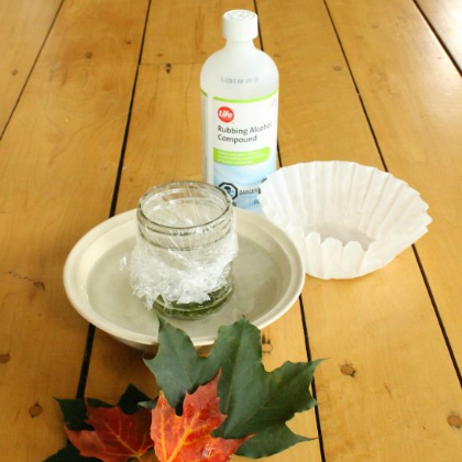 Fall Stem Ideas - why do leaves change color experiment with the kids now!