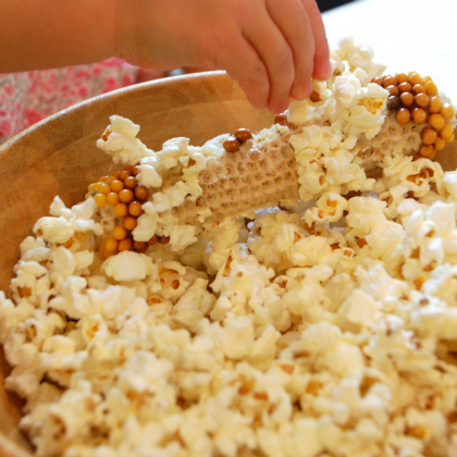 popcorn on the cob experiment with the kids!