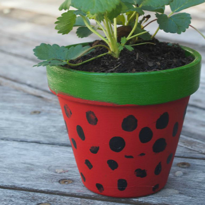 strawberry pot-diy-for-gift-painted-craft-for-kids