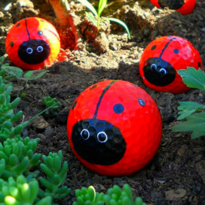golf ball ladybugs, 25 Lovely Ladybug Crafts For Kids