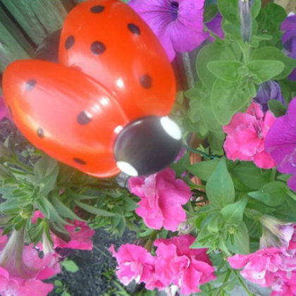 plastic spoon ladybugs, 25 Lovely Ladybug Crafts For Kids
