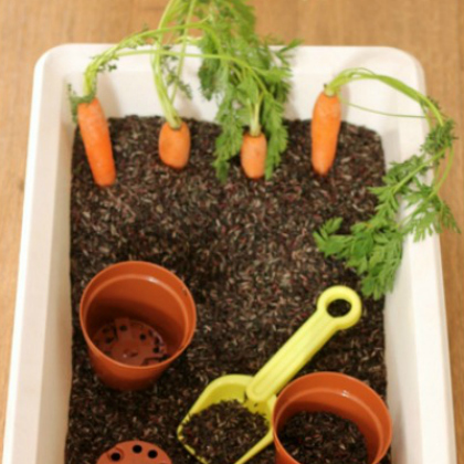 Carrots Sensory Play Tub for the kids!