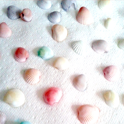 how to dye shells, Summery Seashell Crafts For Kids