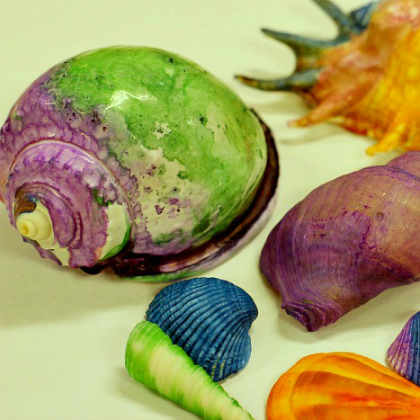 ocean art,  Summery Seashell Crafts For Kids