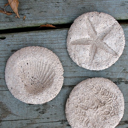 coffee ground fossils, 25 Fun Fossil Ideas For Kids, fossil activities, fun activities, dinosaur crafts, paleontology, science ideas