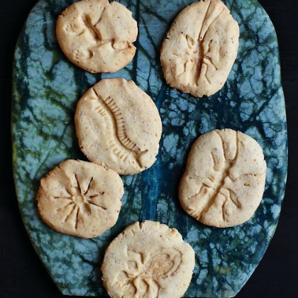 fossil cookies, 25 Fun Fossil Ideas For Kids, fossil activities, fun activities, dinosaur crafts, paleontology, science ideas