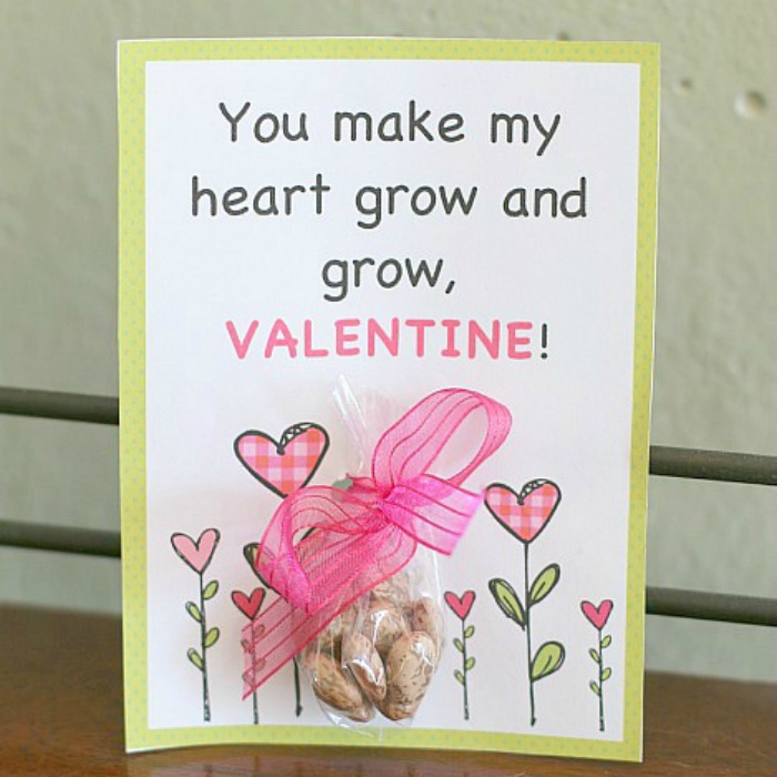 seeds for valentines