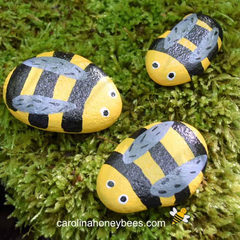Bee-rocks-DIY-for-kids-to-play-and-do-outside