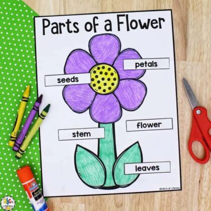 Fantastic Flower Crafts for Kids